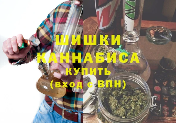 эйфоретик Богданович