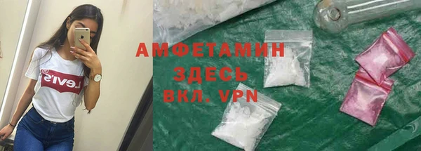мдпв Богородицк