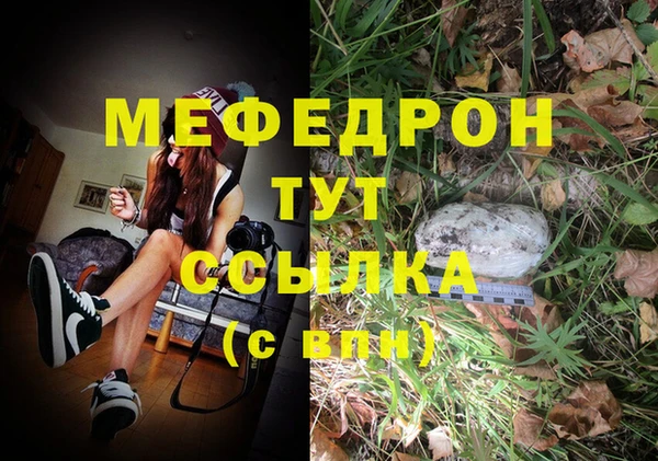 мдпв Богородицк