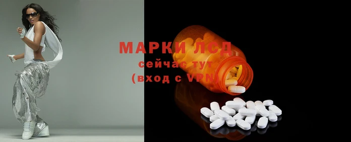 эйфоретик Богданович