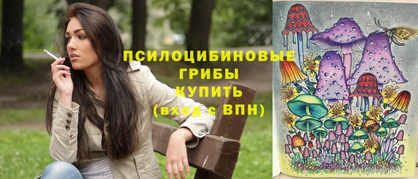 мдпв Богородицк
