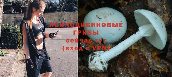 шишки Аркадак