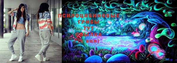 мяу мяу мука Покачи