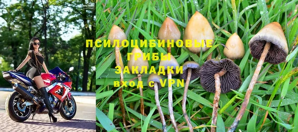 эйфоретик Богданович