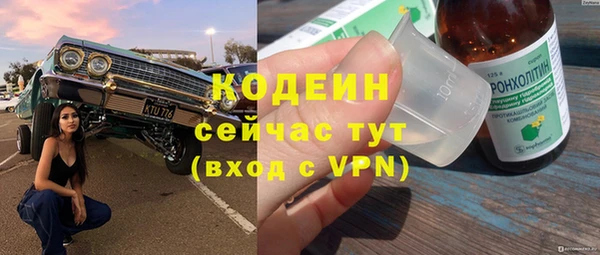 шишки Аркадак