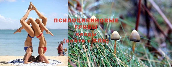 спиды Армянск